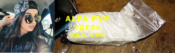 молекула духа Алексин