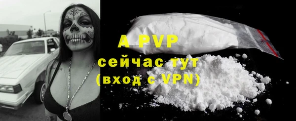 молекула духа Алексин