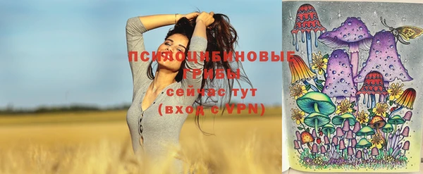молекула духа Алексин